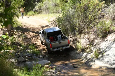 DSC_5920 (Large).JPG